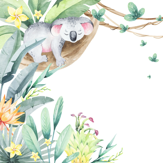 Panoramic Wallpaper - Wall Mural for Children - Koala