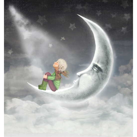 Panoramic Wallpaper - Wall Mural for Children - Little Prince Moon