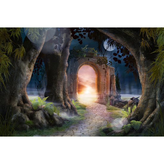 Panoramic Wallpaper - Wall Mural for Children - Magic Passage