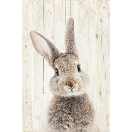 Panoramic Wallpaper - Wall Mural for Children - Rabbit