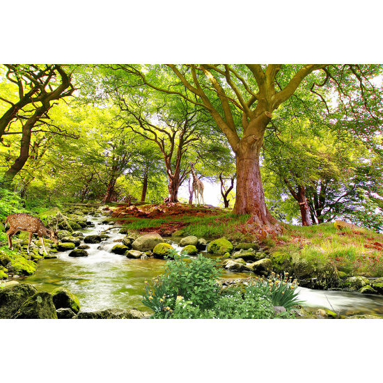 Panoramic Wallpaper - Wall Mural - Forest