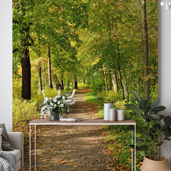 Panoramic Wallpaper - Wall Mural - Forest Path