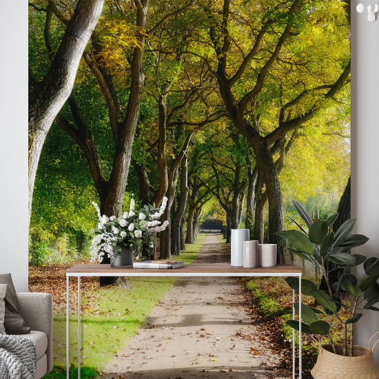 Panoramic Wallpaper - Wall Mural - Forest Path