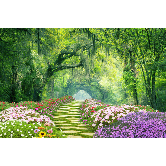 Panoramic Wallpaper - Wall Mural - Forest Path