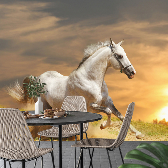 Panoramic Wallpaper - Wall Mural - Horse