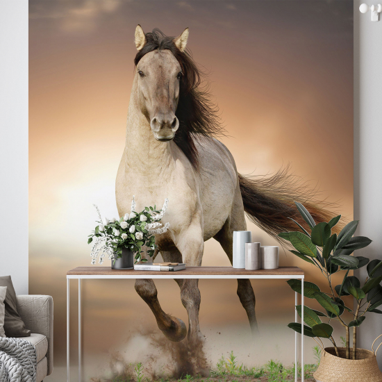 Panoramic Wallpaper - Wall Mural - Horse