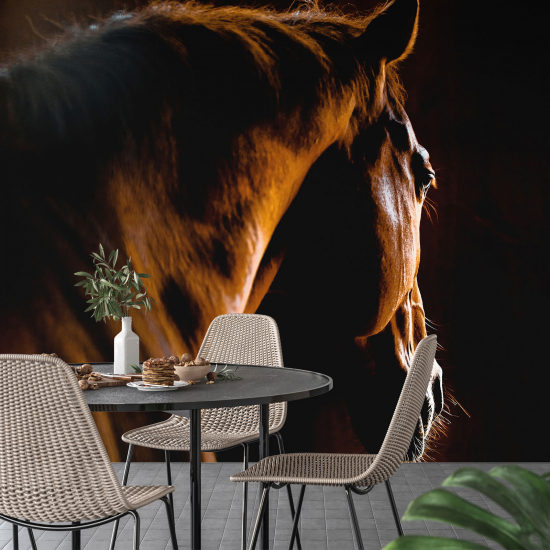 Panoramic Wallpaper - Wall Mural - Horse