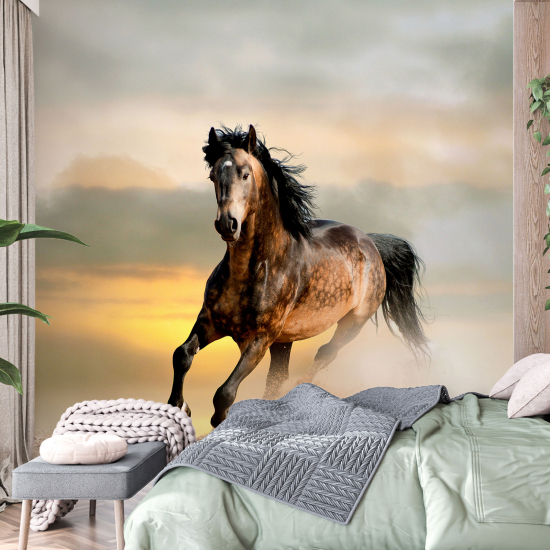 Panoramic Wallpaper - Wall Mural - Horse