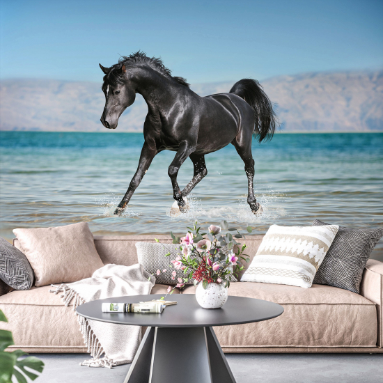 Panoramic Wallpaper - Wall Mural - Horse