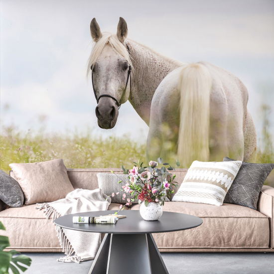 Panoramic Wallpaper - Wall Mural - Horse