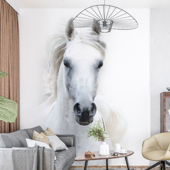 Panoramic Wallpaper - Wall Mural - Horse