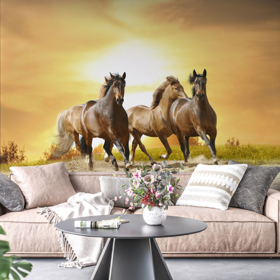 Panoramic Wallpaper - Wall Mural - Horses