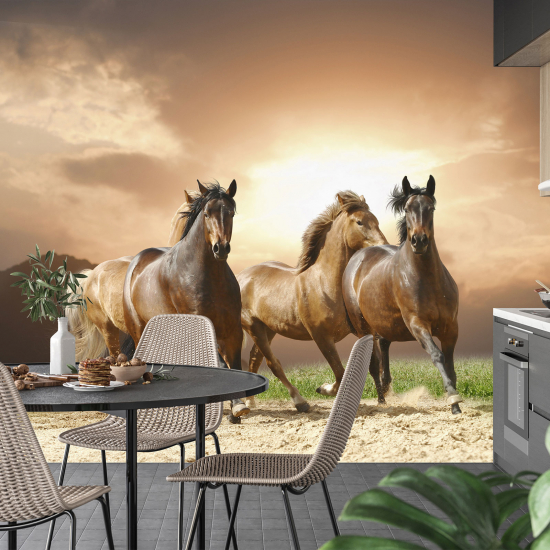 Panoramic Wallpaper - Wall Mural - Horses