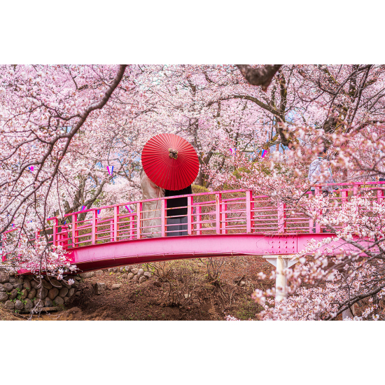 Panoramic Wallpaper - Wall Mural - Japanese Bridge