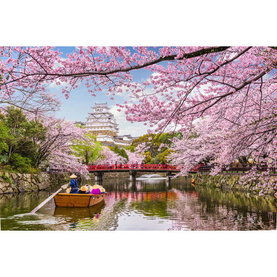 Panoramic Wallpaper - Wall Mural - Japanese Garden