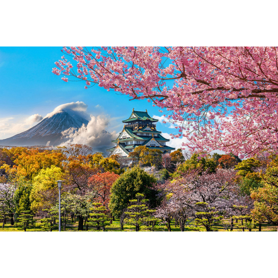 Panoramic Wallpaper - Wall Mural - Japanese Temple