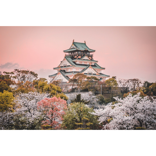 Panoramic Wallpaper - Wall Mural - Japanese Temple