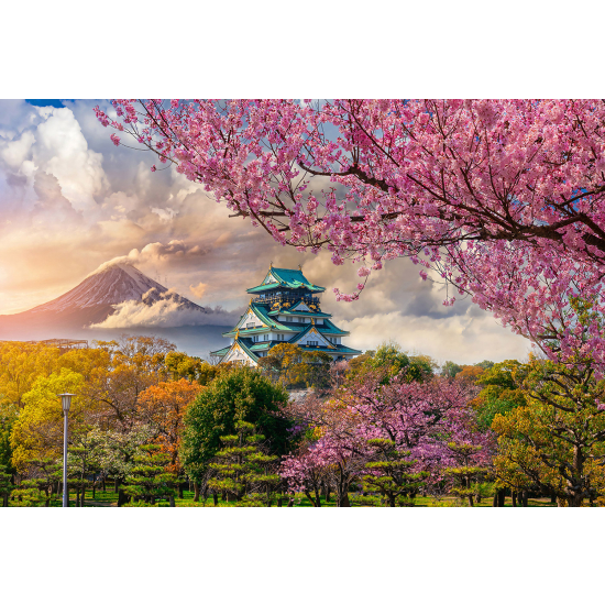 Panoramic Wallpaper - Wall Mural - Japanese Temple