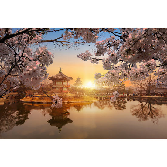 Panoramic Wallpaper - Wall Mural - Japanese Temple