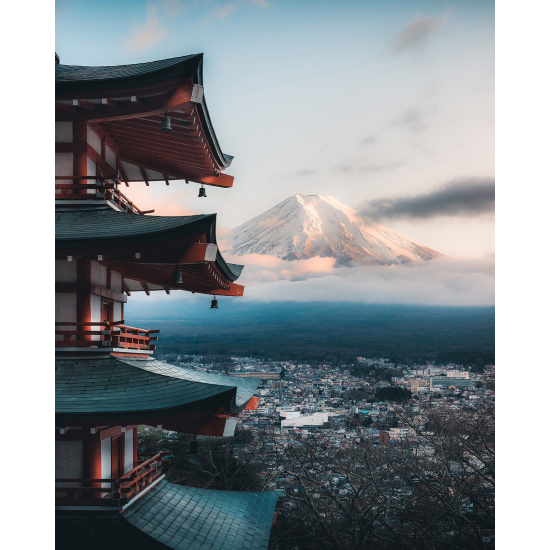 Panoramic Wallpaper - Wall Mural - Japanese Temple Fuji