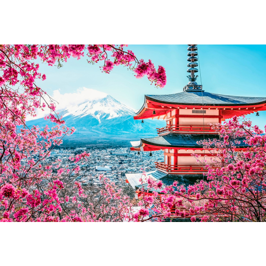 Panoramic Wallpaper - Wall Mural - Japanese Temple Fuji