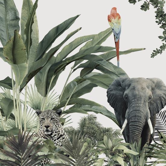 Panoramic Wallpaper - Wall Mural - Jungle Animals