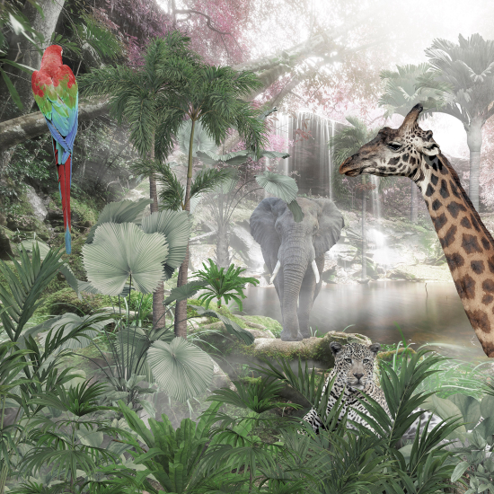 Panoramic Wallpaper - Wall Mural - Jungle Animals