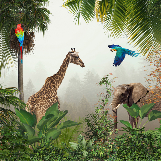 Panoramic Wallpaper - Wall Mural - Jungle Animals