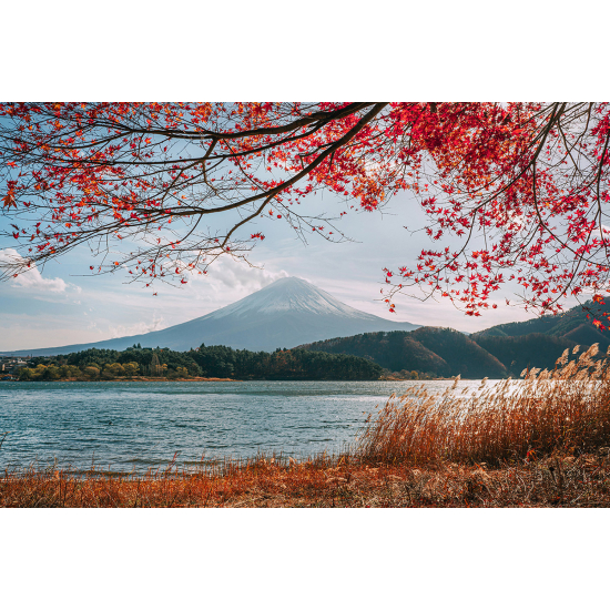 Panoramic Wallpaper - Wall Mural - Mount Fuji