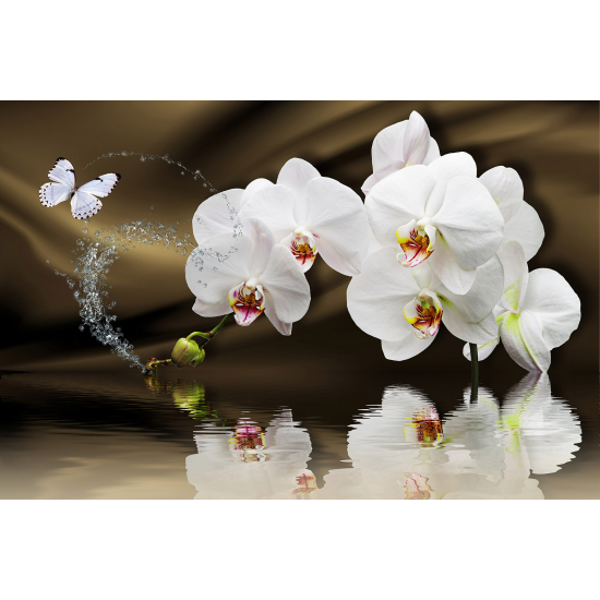 Panoramic Wallpaper - Wall Mural - Orchids