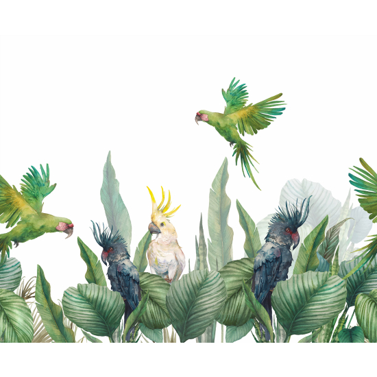 Panoramic Wallpaper - Wall Mural - Parrots