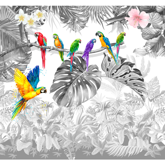 Panoramic Wallpaper - Wall Mural - Parrots