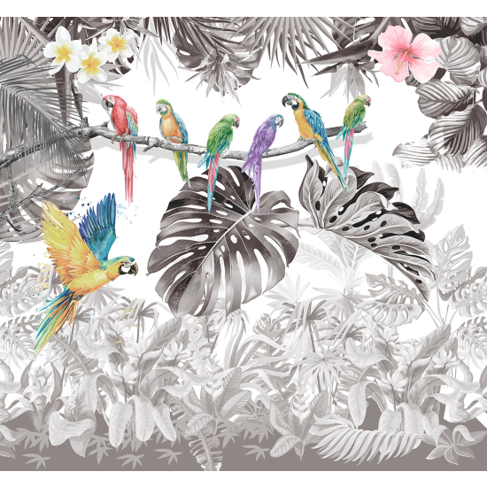 Panoramic Wallpaper - Wall Mural - Parrots