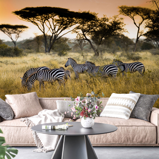 Panoramic Wallpaper - Wall Mural - Savanna Zebras