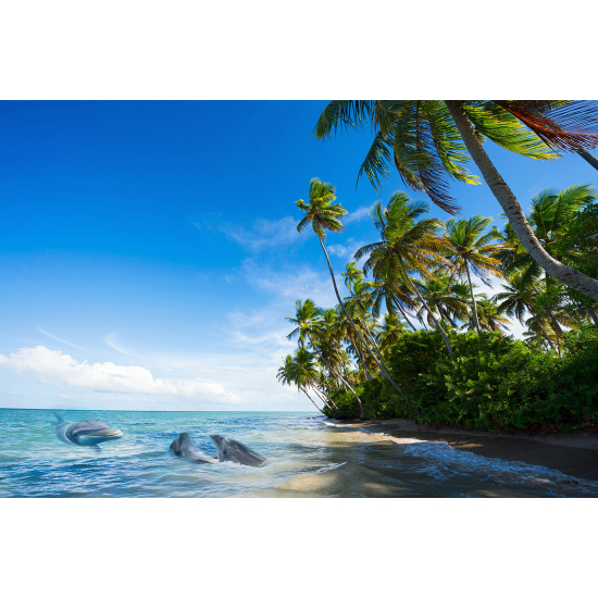 Panoramic Wallpaper - Wall Mural - Sea View Coconut Trees