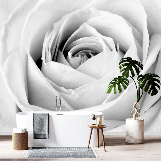 Panoramic Wallpaper - Wall Mural - The rose