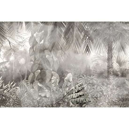 Panoramic Wallpaper - Wall Mural - Tropical Forest