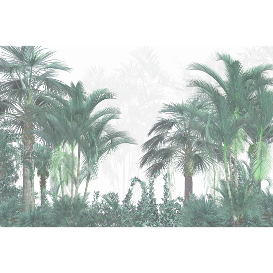 Panoramic Wallpaper - Wall Mural - Tropical Forest