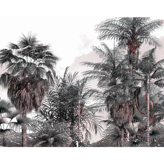 Panoramic Wallpaper - Wall Mural - Tropical Forest