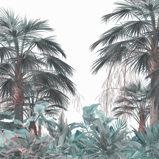 Panoramic Wallpaper - Wall Mural - Tropical Forest