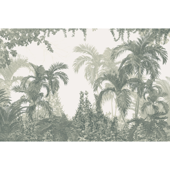 Panoramic Wallpaper - Wall Mural - Tropical Forest