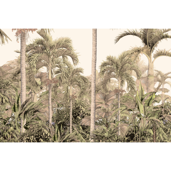 Panoramic Wallpaper - Wall Mural - Tropical Forest