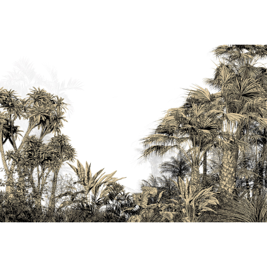 Panoramic Wallpaper - Wall Mural - Tropical Forest