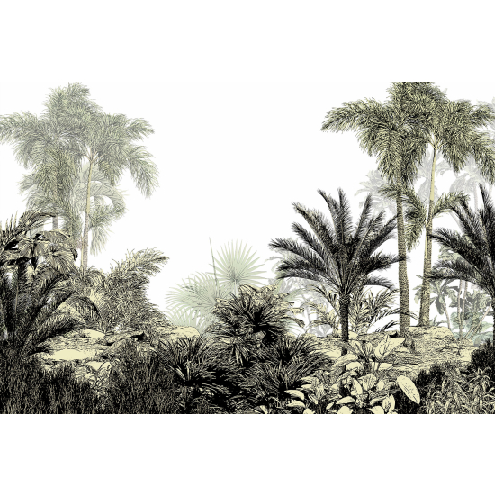 Panoramic Wallpaper - Wall Mural - Tropical Forest