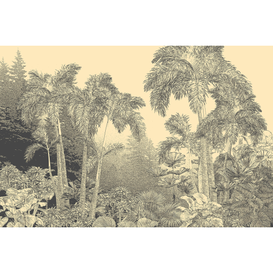 Panoramic Wallpaper - Wall Mural - Tropical Forest