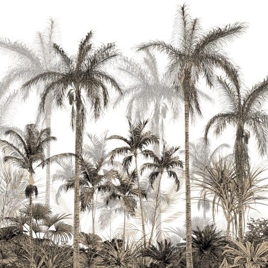 Panoramic Wallpaper - Wall Mural - Tropical Forest