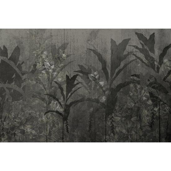 Panoramic Wallpaper - Wall Mural - Tropical Forest