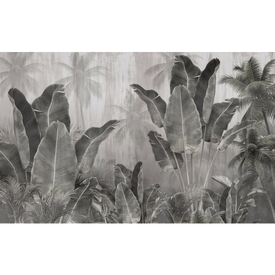 Panoramic Wallpaper - Wall Mural - Tropical Forest