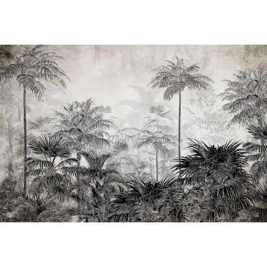 Panoramic Wallpaper - Wall Mural - Tropical Forest