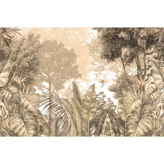 Panoramic Wallpaper - Wall Mural - Tropical Forest